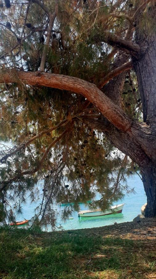 Apartman Jopa باغ المظهر الخارجي الصورة